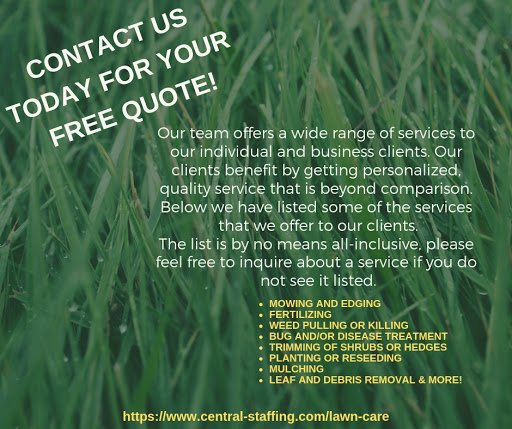 Central Staffing Solutions